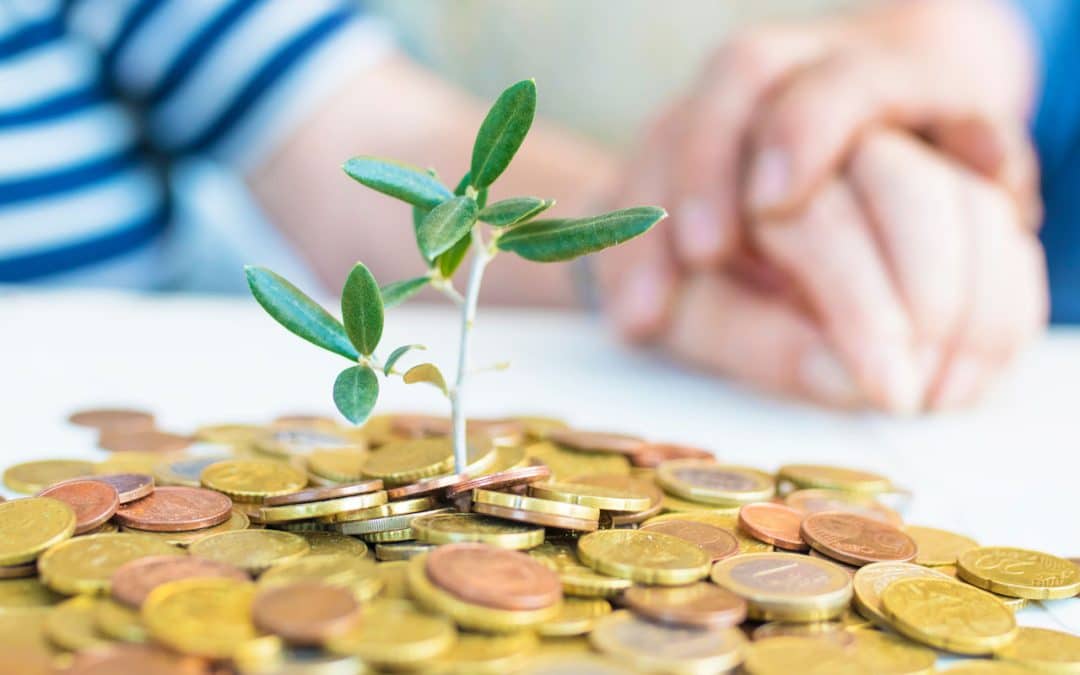 Stewardship in Action: Why Wealth Is a Responsibility, Not Just a Resource